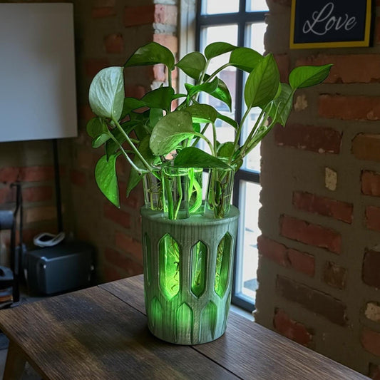 GlowPlanter – Illuminated Glass Hydroponic Vase