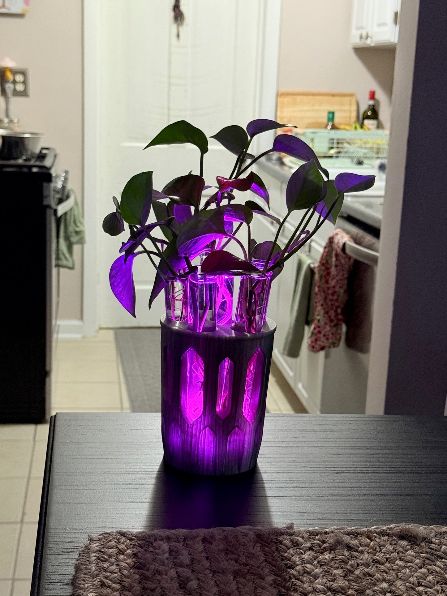 GlowPlanter – Illuminated Glass Hydroponic Vase
