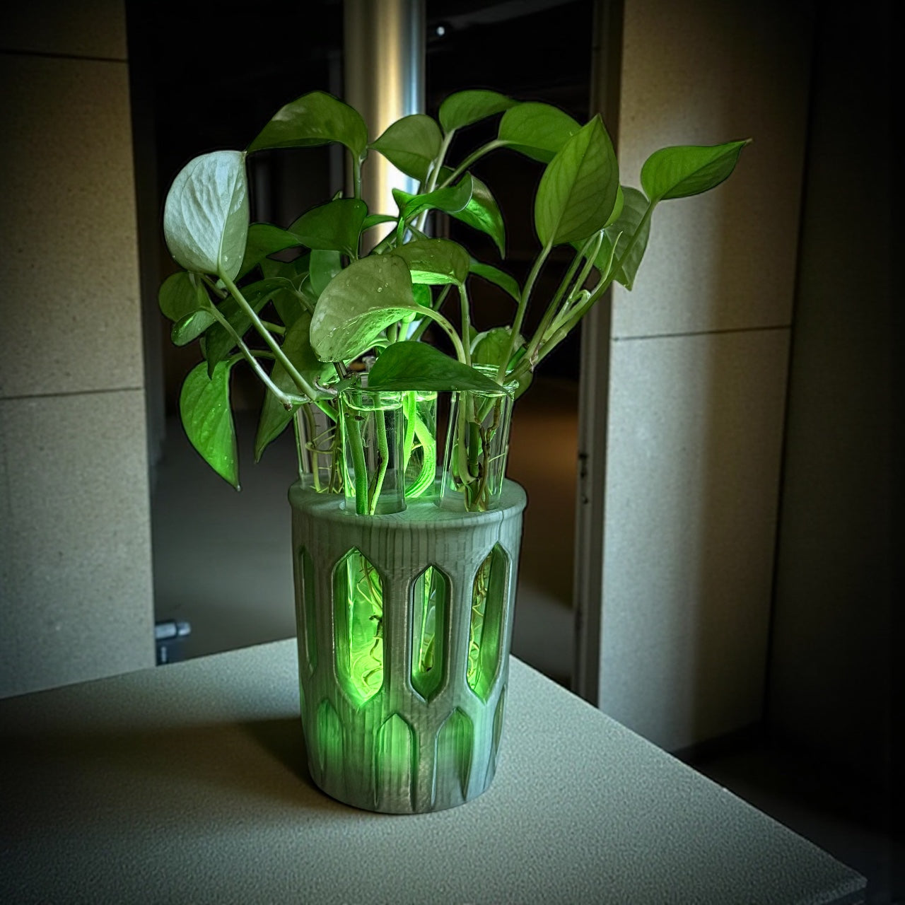 GlowPlanter – Illuminated Glass Hydroponic Vase