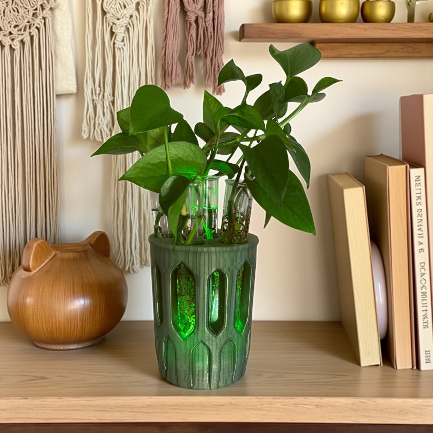 GlowPlanter – Illuminated Glass Hydroponic Vase