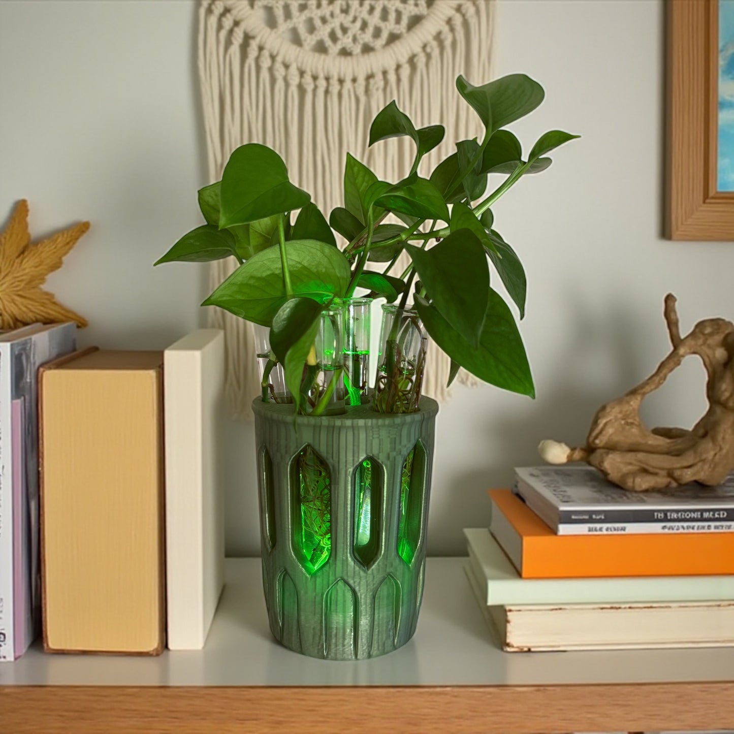 GlowPlanter – Illuminated Glass Hydroponic Vase