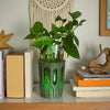 GlowPlanter – Illuminated Glass Hydroponic Vase