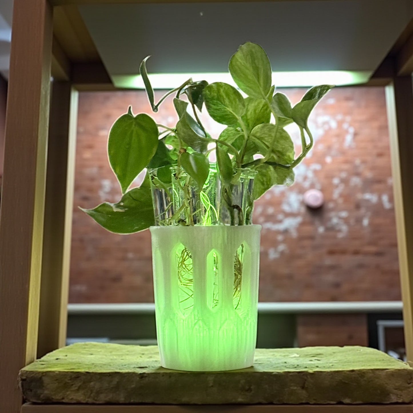 GlowPlanter – Illuminated Glass Hydroponic Vase