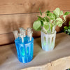 GlowPlanter – Illuminated Glass Hydroponic Vase