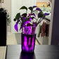 GlowPlanter – Illuminated Glass Hydroponic Vase