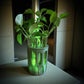 GlowPlanter – Illuminated Glass Hydroponic Vase